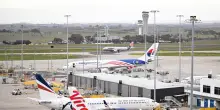 Serpente a bordo di un aereo in Australia, volo bloccato