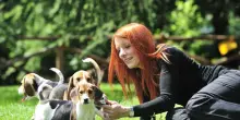 I reati contro gli animali diventano legge, multe e carcere per chi li abbandona