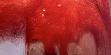 Chiharu Shiota al Mao di Torino, è la prima volta in Italia