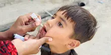 World Polio Day,Rotary 'vaccinati 3 miliardi bimbi dal 1988'