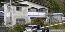 Allarme orsi in Giappone, crescono gli attacchi agli uomini