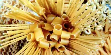 Ue: 'Lavoriamo con l'Italia sui dazi Usa sulla pasta'