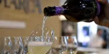 In Champagne si anticipa la vendemmia, si stima un'ottima annata