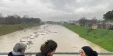 In arrivo nuove casse d'espansione per proteggere Faenza
