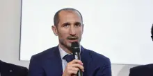 Chiellini 'Mondiali?Sogno la finale con il Brasile di Ancelotti'