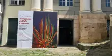 Palazzo Ducale Genova racconta i 100 anni di 'Ossi di Seppia'