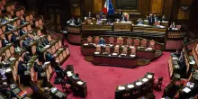Il Senato approva il ddl per i reati contro gli animali