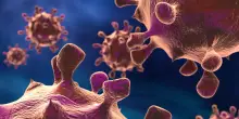 Fauci, scienza e politici capaci per affrontare i nuovi virus   DIRETTA DALLE 10,00