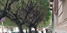 Mattarella annulla multa e Daspo a un senzatetto di Verona
