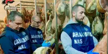 Carni e insaccati scaduti da anni in un salumificio a Cesena