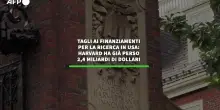 Tagli ai fondi per la ricerca in Usa, Harvard perde 2,4 miliardi di dollari