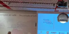 A.Illy, caffè tra costi alti e clima, ma conoscenza aiuterà