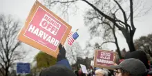 Harvard vietata agli stranieri, l'ateneo fa causa a Trump