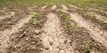 Dal Fabbro (Iren), 'Italia sull'orlo di una grande crisi idrica'