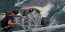 Lo Squalo di Spielberg, i 50 anni del primo blockbuster