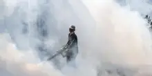 Caso di Dengue a Prato, paziente tornato da viaggio in India