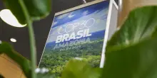 Cop30 in Brasile, navi da crociera contro la carenza di hotel