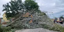Il maltempo sferza l'Emilia, raffiche di vento oltre 100 km/h
