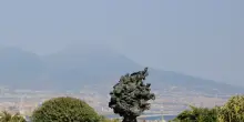 A Napoli la panchina del "Rendez-vous per la pace"