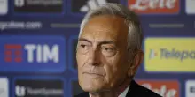 Gravina 'soddisfatti dal verdetto del Tar sulla Salernitana'