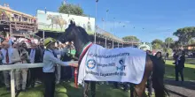 Ippica: festa per 15mila a Capannelle, Molveno vince 142/o Derby