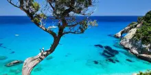 Caro-voli per la Sardegna, come andare a New York