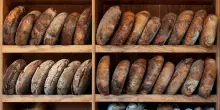 Gambero Rosso, il pane dell'anno è siciliano