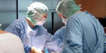 Tumori: Italia prima in Ue per calo delle morti, ma servono più fondi e personale