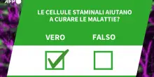 Ansa VERIFIED - Le cellule staminali aiutano a curare le malattie?