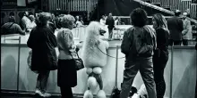 Elliott Erwitt, maestro di leggerezza e ironia