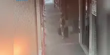 Duplice omicidio a Bologna, in un video la fuga del fermato