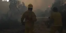 Messico, gli incendi divorano da giorni i boschi della Baja California
