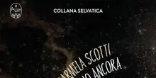 I bambini dormono ancora, tra rassegnazione e riconquista