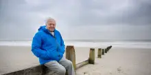 David Attenborough, l'oceano come non l'avete mai visto prima