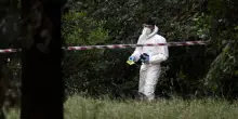 Individuato il Dna di Kaufmann sul sacco che copriva Anastasia