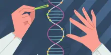 Dall'editing genetico la prima terapia permanente per perdere peso
