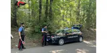 Spaccio nei boschi del Viterbese, decine di arresti