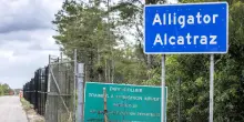 Media, italo-argentino in centro per migranti Alligator Alcatraz