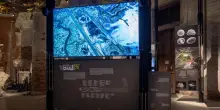 La Biennale di Venezia, doppia preapertura per Mostra del Cinema