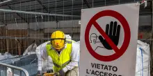 Cnel-Unioncamere, nel primo semestre 2,9 milioni di posti