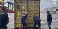 Sequestrata nel porto di Gioia Tauro una tonnellata di marijuana