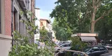 Dopo il grande caldo arriva tempesta di vento a Firenze
