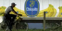 Colombia, condannati 7 ex manager di Chiquita Brands