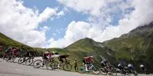 Tour: focolaio virale tra i bovini, accorciata la 19/a tappa