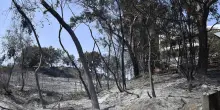 Incendio villaggio turistico, indagini seguono ipotesi dolo