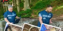 Cibo scaduto da 20 anni, ispezioni Nas nei rifugi in Appennino