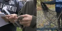 Forestale, traffico illegale uccelli da richiamo, 9 indagati
