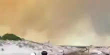 Incendi Sardegna, Baturi (Cei), 'ancora una volta devastazione'