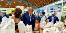 Frutta e verdura nelle scuole, bando da 14 milioni di euro