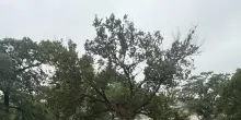 Alluvione in Texas: 24 morti e una ventina di dispersi